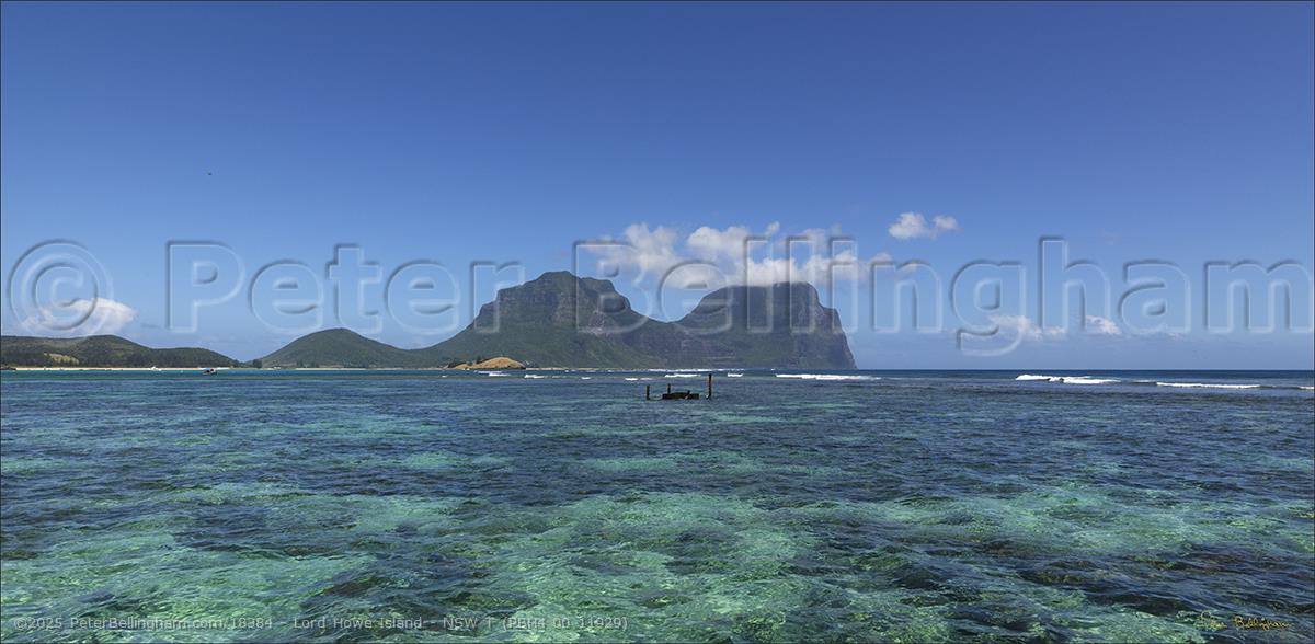 Peter Bellingham Photography Lord Howe Island - NSW T (PBH4 00 11929)